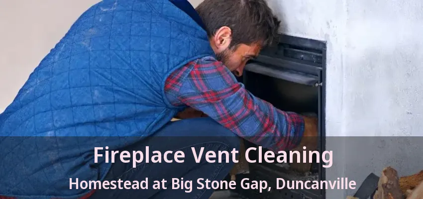 Fireplace Vent Cleaning Homestead at Big Stone Gap, Duncanville - TX