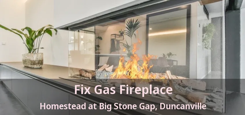 Fix Gas Fireplace Homestead at Big Stone Gap, Duncanville - TX