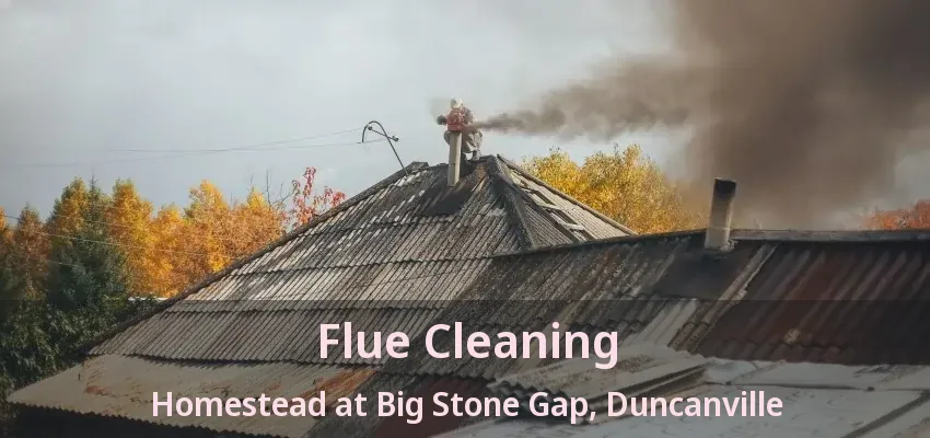 Flue Cleaning Homestead at Big Stone Gap, Duncanville - TX