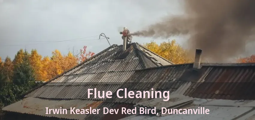 Flue Cleaning Irwin Keasler Dev Red Bird, Duncanville - TX