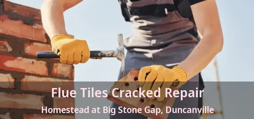 Flue Tiles Cracked Repair Homestead at Big Stone Gap, Duncanville - TX