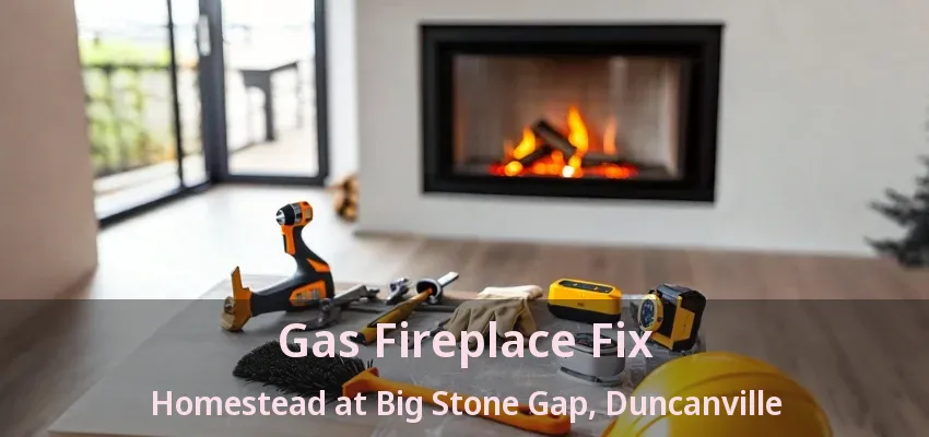 Gas Fireplace Fix Homestead at Big Stone Gap, Duncanville - TX