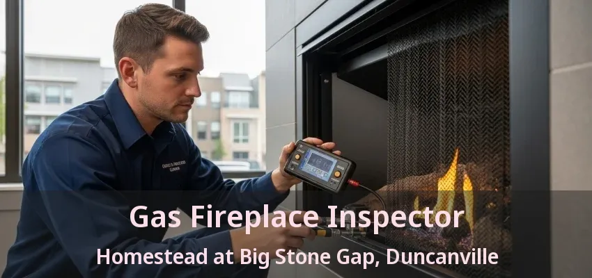 Gas Fireplace Inspector Homestead at Big Stone Gap, Duncanville - TX