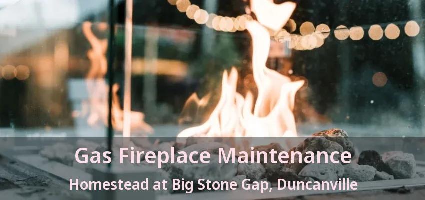 Gas Fireplace Maintenance Homestead at Big Stone Gap, Duncanville - TX