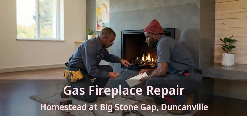 Gas Fireplace Repair Homestead at Big Stone Gap, Duncanville - TX