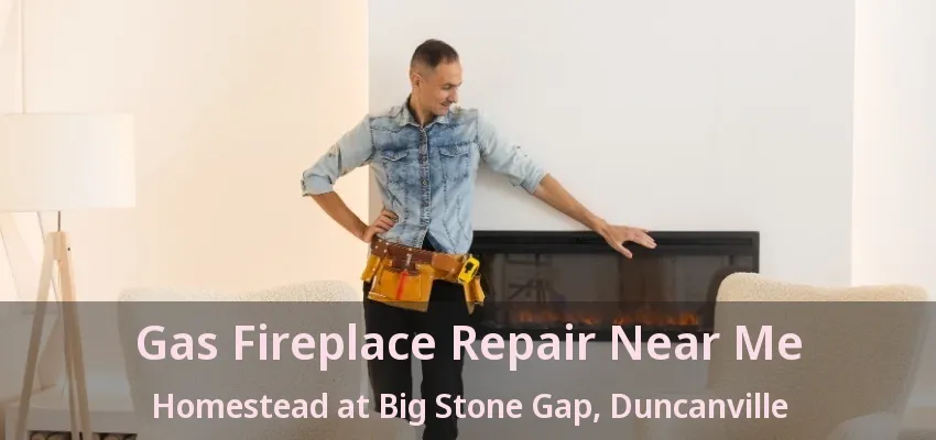 Gas Fireplace Repair Near Me Homestead at Big Stone Gap, Duncanville - TX