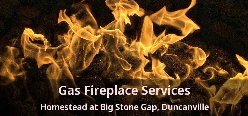 Gas Fireplace Services Homestead at Big Stone Gap, Duncanville - TX