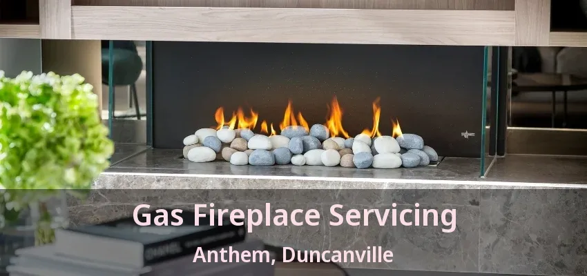 Gas Fireplace Servicing Anthem, Duncanville - TX