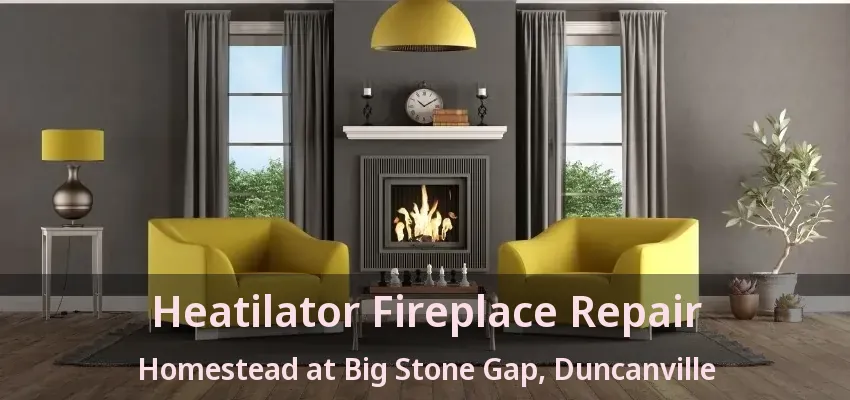 Heatilator Fireplace Repair Homestead at Big Stone Gap, Duncanville - TX