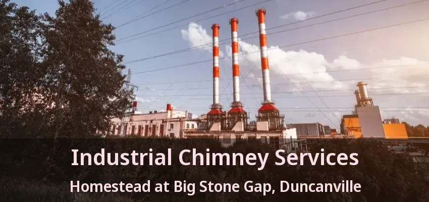 Industrial Chimney Services Homestead at Big Stone Gap, Duncanville - TX