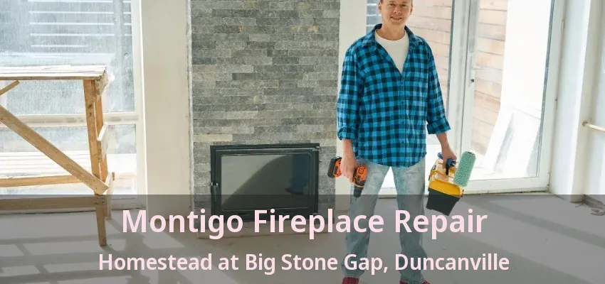 Montigo Fireplace Repair Homestead at Big Stone Gap, Duncanville - TX