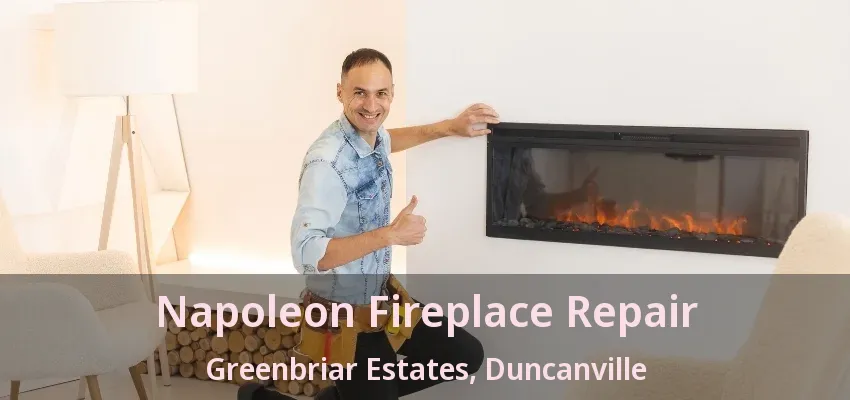 Napoleon Fireplace Repair Greenbriar Estates, Duncanville - TX