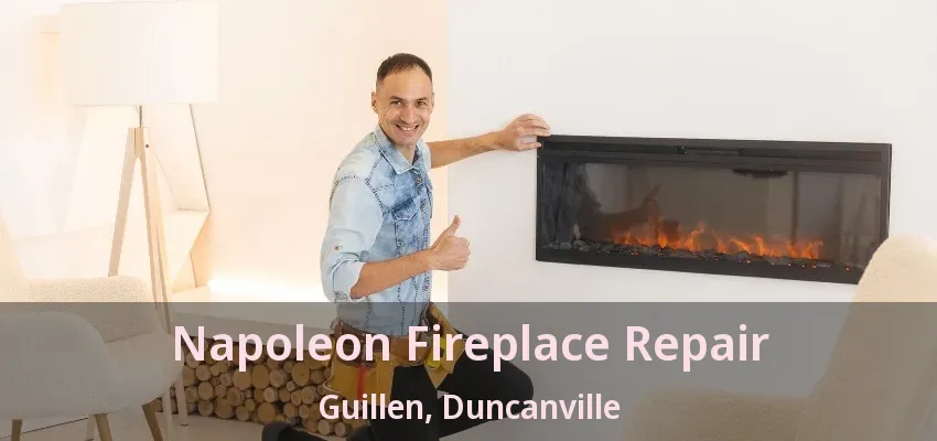 Napoleon Fireplace Repair Guillen, Duncanville - TX