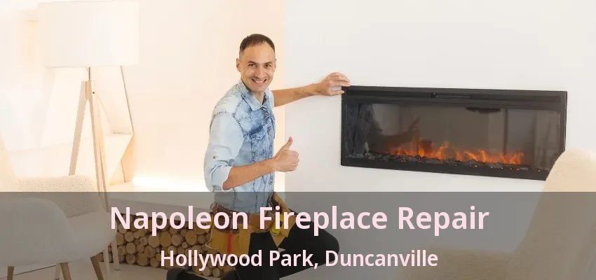 Napoleon Fireplace Repair Hollywood Park, Duncanville - TX