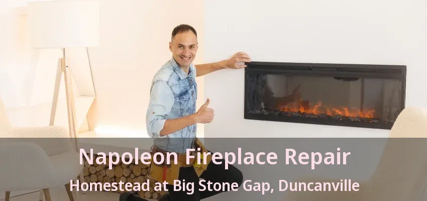 Napoleon Fireplace Repair Homestead at Big Stone Gap, Duncanville - TX