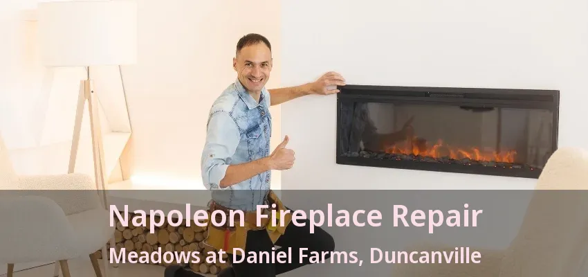 Napoleon Fireplace Repair Meadows at Daniel Farms, Duncanville - TX