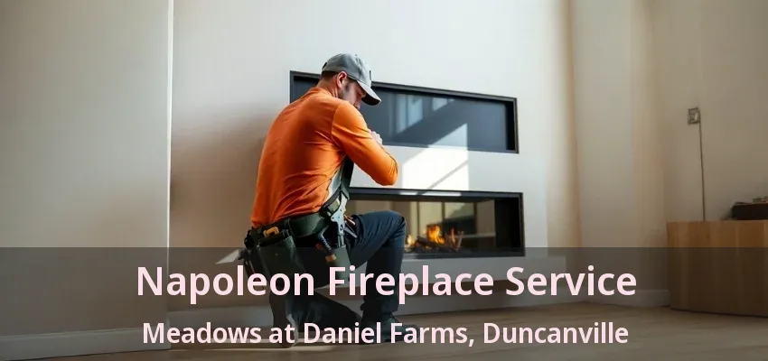 Napoleon Fireplace Service Meadows at Daniel Farms, Duncanville - TX