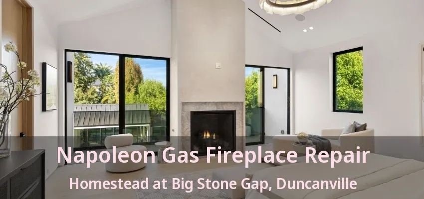 Napoleon Gas Fireplace Repair Homestead at Big Stone Gap, Duncanville - TX