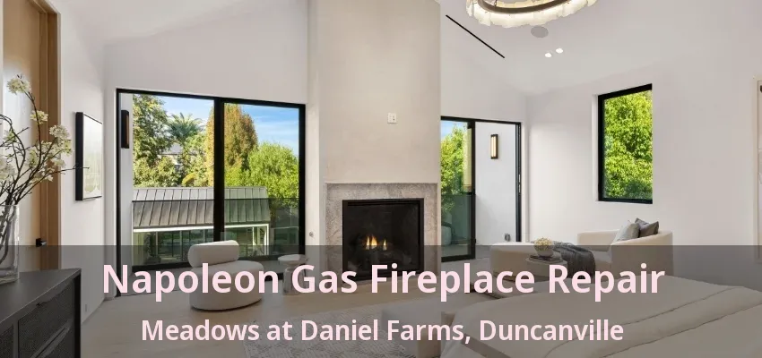Napoleon Gas Fireplace Repair Meadows at Daniel Farms, Duncanville - TX