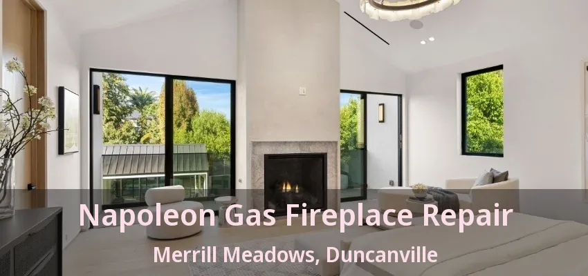 Napoleon Gas Fireplace Repair Merrill Meadows, Duncanville - TX
