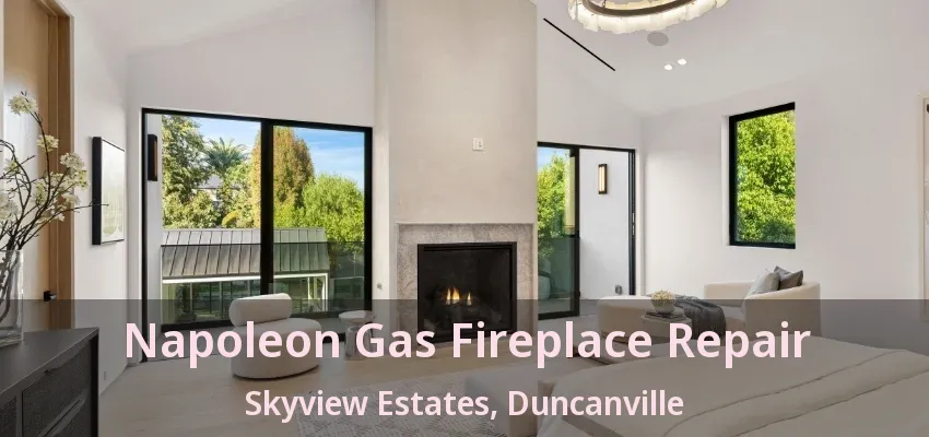 Napoleon Gas Fireplace Repair Skyview Estates, Duncanville - TX