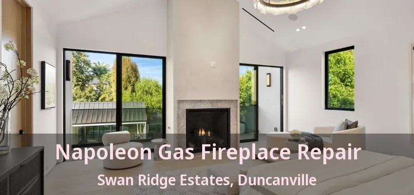 Napoleon Gas Fireplace Repair Swan Ridge Estates, Duncanville - TX