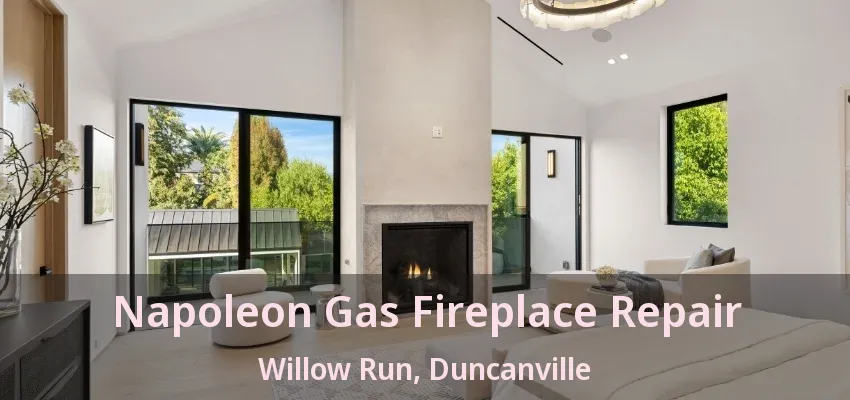 Napoleon Gas Fireplace Repair Willow Run, Duncanville - TX