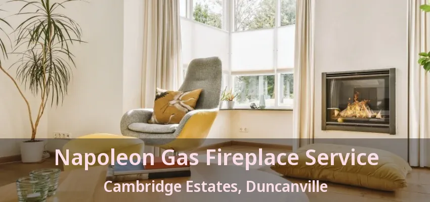 Napoleon Gas Fireplace Service Cambridge Estates, Duncanville - TX