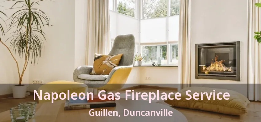 Napoleon Gas Fireplace Service Guillen, Duncanville - TX