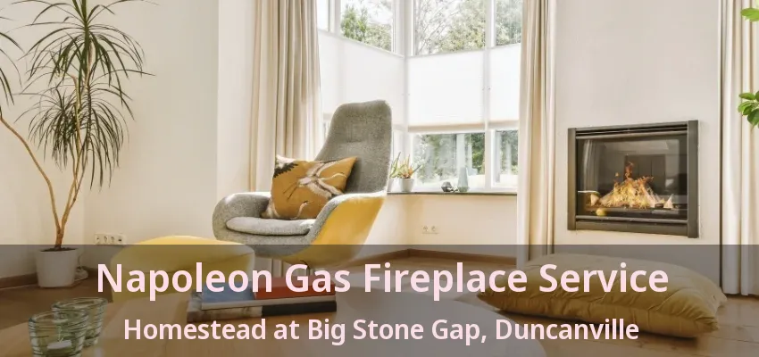 Napoleon Gas Fireplace Service Homestead at Big Stone Gap, Duncanville - TX
