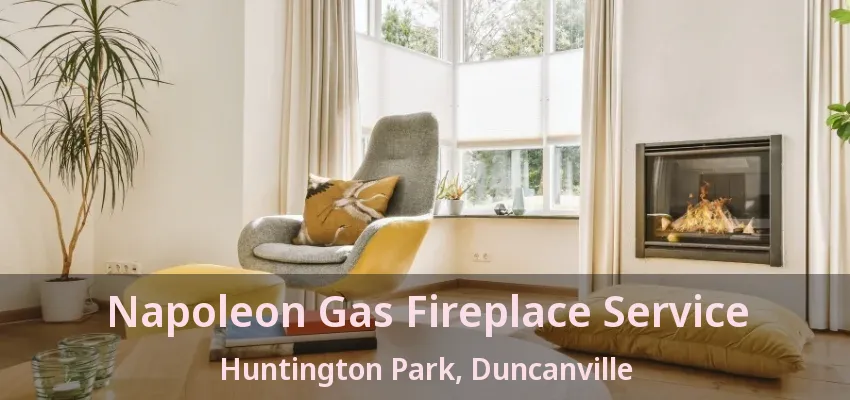 Napoleon Gas Fireplace Service Huntington Park, Duncanville - TX