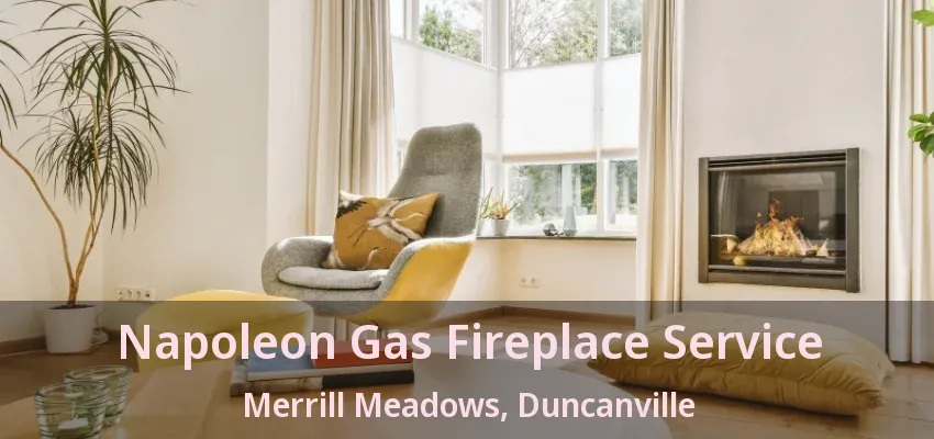 Napoleon Gas Fireplace Service Merrill Meadows, Duncanville - TX