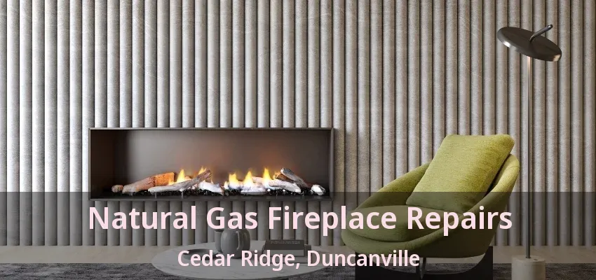 Natural Gas Fireplace Repairs Cedar Ridge, Duncanville - TX