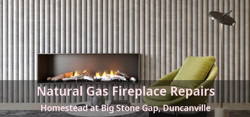 Natural Gas Fireplace Repairs Homestead at Big Stone Gap, Duncanville - TX