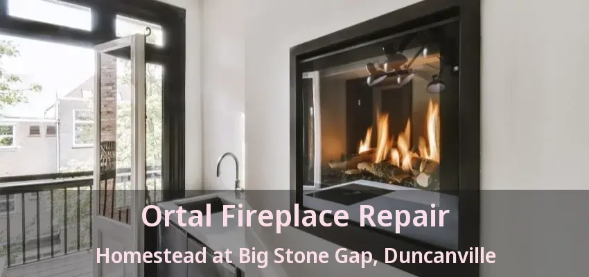 Ortal Fireplace Repair Homestead at Big Stone Gap, Duncanville - TX