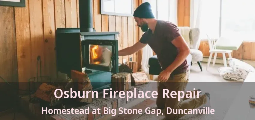 Osburn Fireplace Repair Homestead at Big Stone Gap, Duncanville - TX