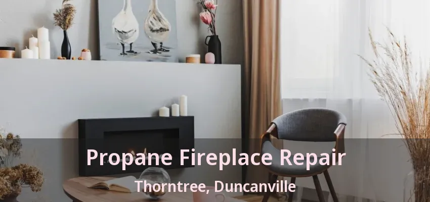 Propane Fireplace Repair Thorntree, Duncanville - TX
