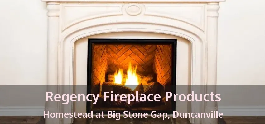 Regency Fireplace Products Homestead at Big Stone Gap, Duncanville - TX