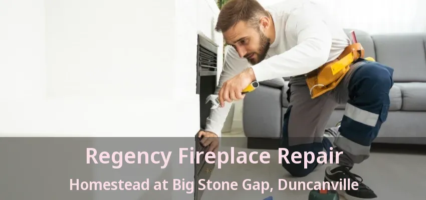 Regency Fireplace Repair Homestead at Big Stone Gap, Duncanville - TX