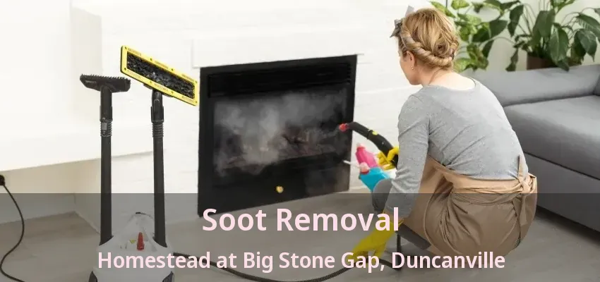 Soot Removal Homestead at Big Stone Gap, Duncanville - TX