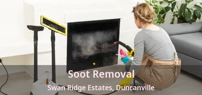 Soot Removal Swan Ridge Estates, Duncanville - TX