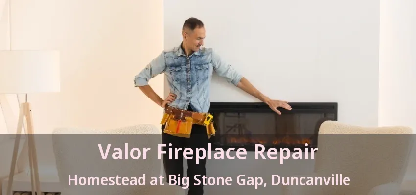 Valor Fireplace Repair Homestead at Big Stone Gap, Duncanville - TX