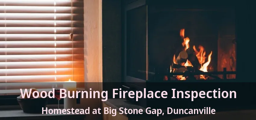 Wood Burning Fireplace Inspection Homestead at Big Stone Gap, Duncanville - TX