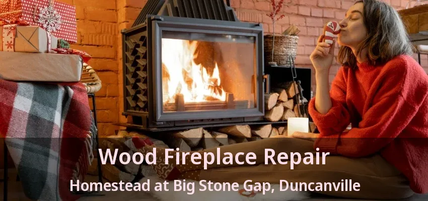 Wood Fireplace Repair Homestead at Big Stone Gap, Duncanville - TX