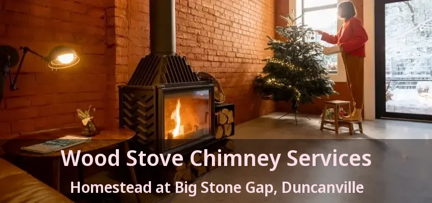 Wood Stove Chimney Services Homestead at Big Stone Gap, Duncanville - TX