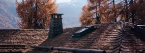 Chimney Animal Removal Big Stone Gap, Duncanville
