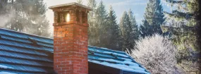 Chimney Blockage Removal Big Stone Gap, Duncanville
