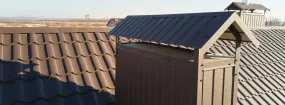 Chimney Cap Services Big Stone Gap, Duncanville