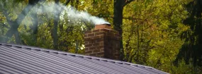 Chimney Odor Removal Big Stone Gap, Duncanville