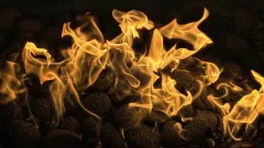 Fireplace Cleaning Service Big Stone Gap, Duncanville